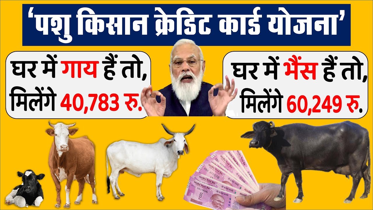 पशु किसान क्रेडिट कार्ड के तहत पशुपालकों को मिलेंगे 3 लाख रु. तक लोन