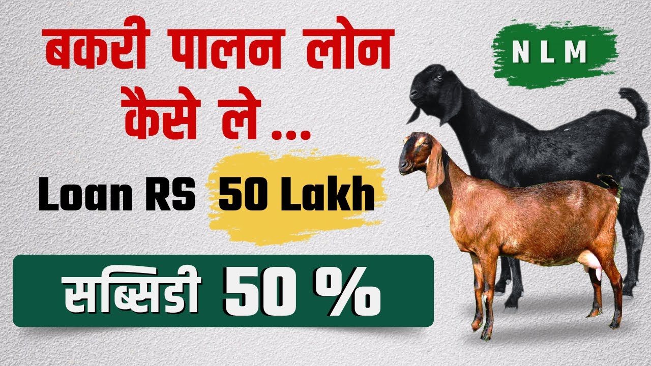 2025 में बकरी पालन के लिए बिज़नेस लोन: 4 लाख से 50 लाख तक की राशि