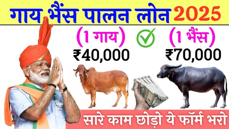 गाय भैंस लोन योजना 2025