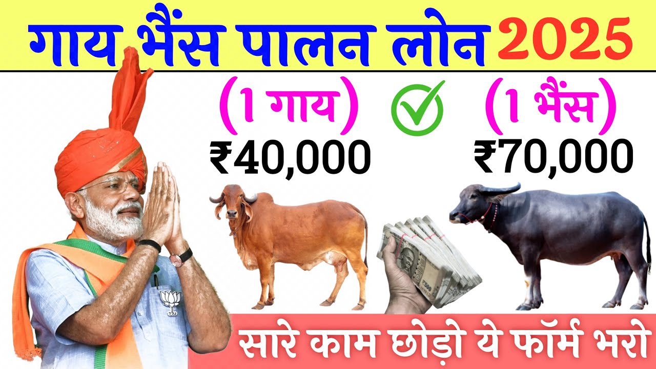 गाय भैंस लोन योजना 2025