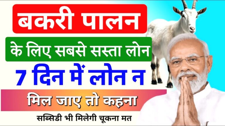 बकरी पालन के लिए बैंक से सस्ता और सब्सिडीयुक्त लोन सिर्फ 7 दिन में