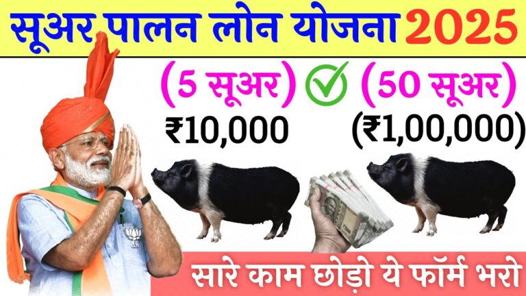 सूअर पालन लोन योजना 2025
